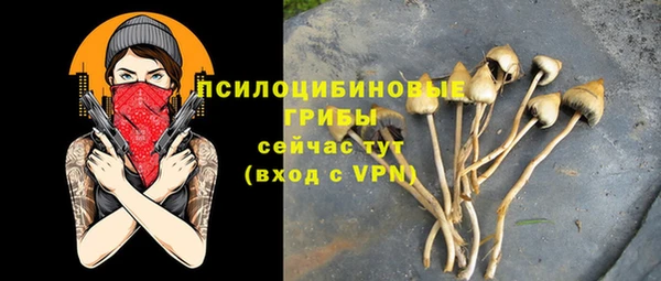 ECSTASY Пролетарск