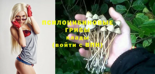 герыч Протвино